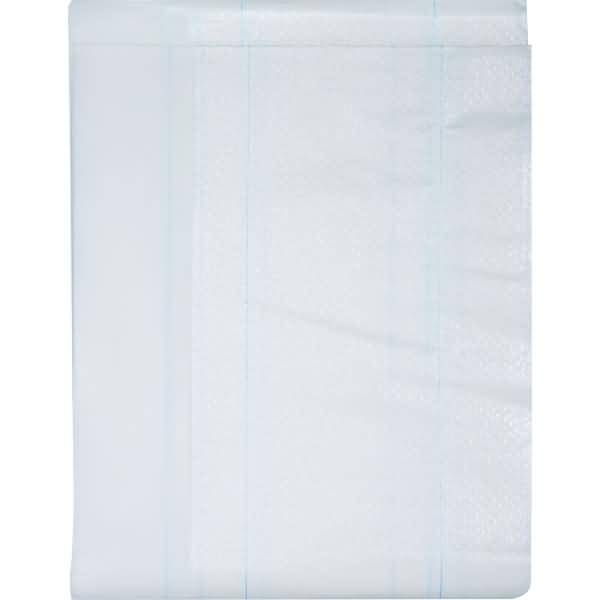 Einmal-Tragenlaken 210 x 75 cm PE-beschichtet