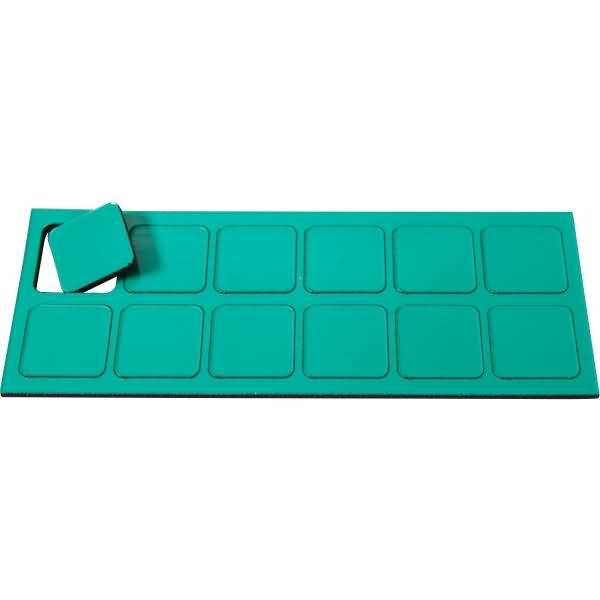 Magnetische Symbole Quadrat 19x19mm VE=12 Stück moos
