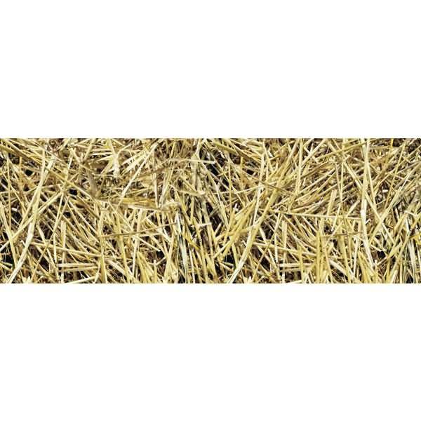 Motiv-Fotokarton 300g/qm 49,5x68cm Stroh