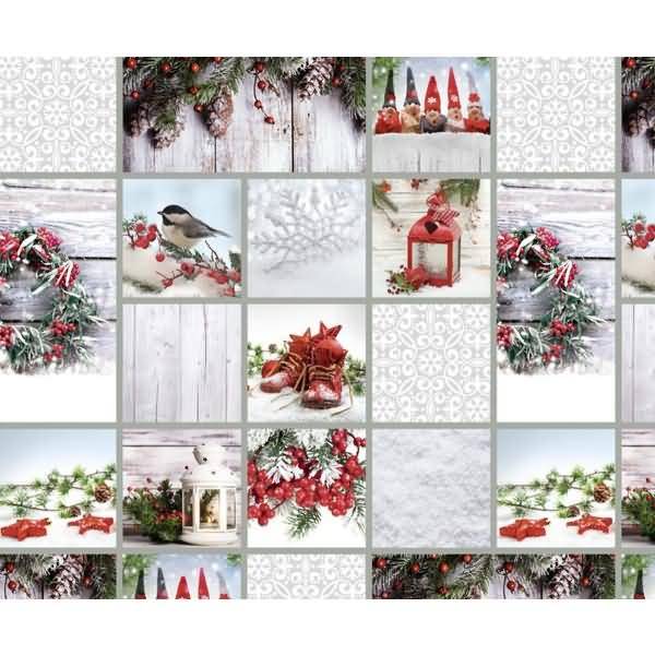 Motiv-Fotokarton 300g/qm 49,5x68cm Landhaus weiß/rot