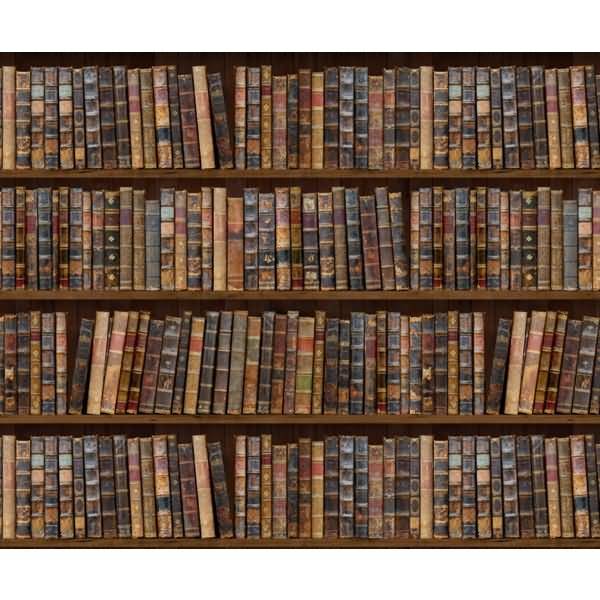 Motiv-Fotokarton 300g/qm 49,5x68cm Bibliothek