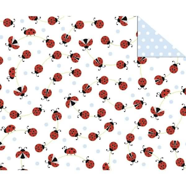 Fotokarton Glückskäfer 300g/qm A4 Motiv 02