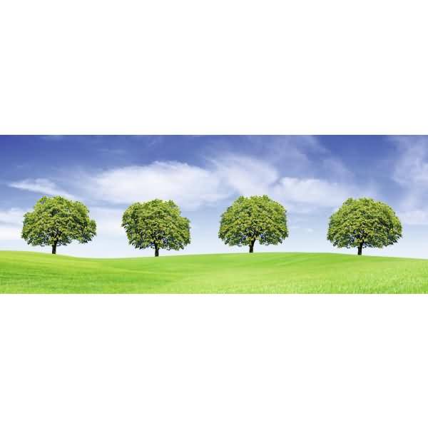 Mini-Tischlichter Ambiente 59 VE=5 Stück