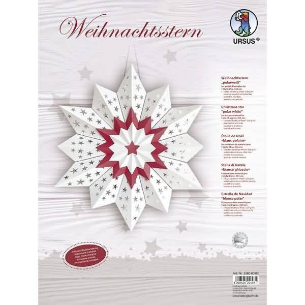 Weihnachtsstern 'Polarweiß'