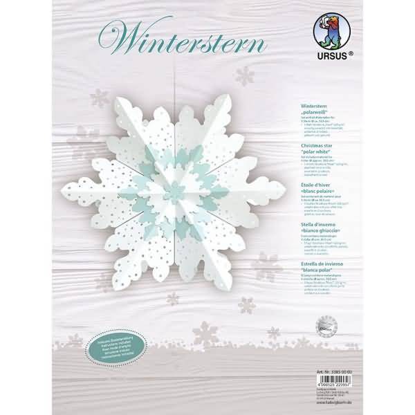 Winterstern 'Polarweiß'