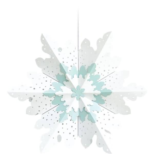Winterstern 'Polarweiß'