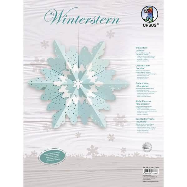 Winterstern 'Eisblau'