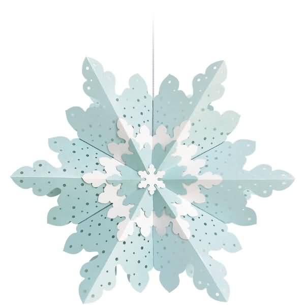 Winterstern 'Eisblau'