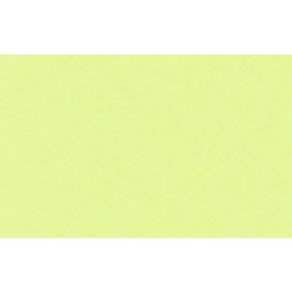 Fotokarton 300g/qm A4 VE=50 Bogen apfelgrün