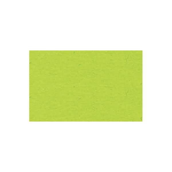 Fotokarton 300g/qm A4 VE=50 Blatt hellgrün