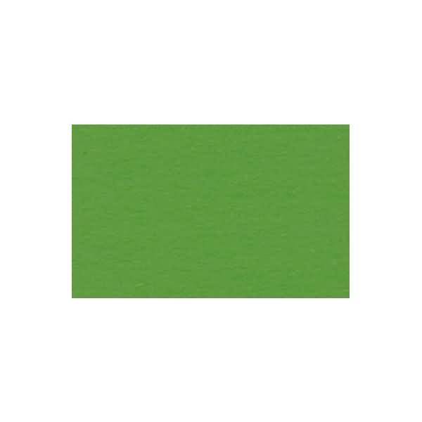 Fotokarton 300g/qm A4 VE=50 Blatt lindgrün