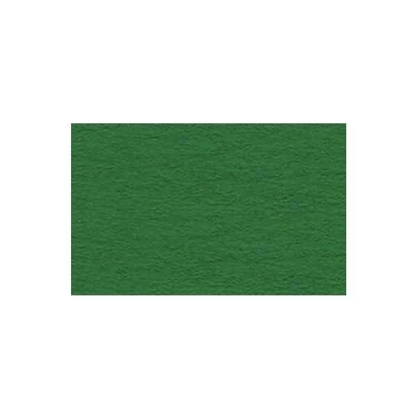 Fotokarton 300g/qm A4 VE=50 Blatt dunkelgrün