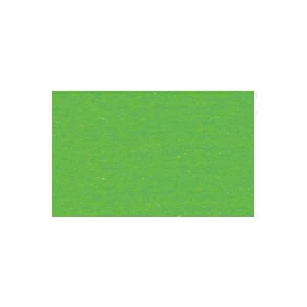 Fotokarton 300g/qm A4 VE=50 Blatt grasgrün