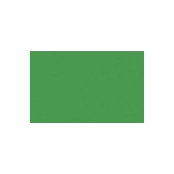 Fotokarton 300g/qm A4 VE=50 Blatt tannengrün