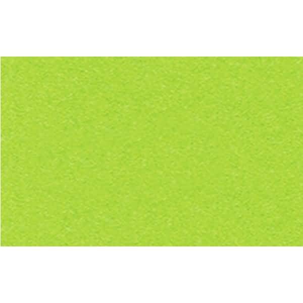 Fotokarton 300g/qm 70x100cm tropicgrün