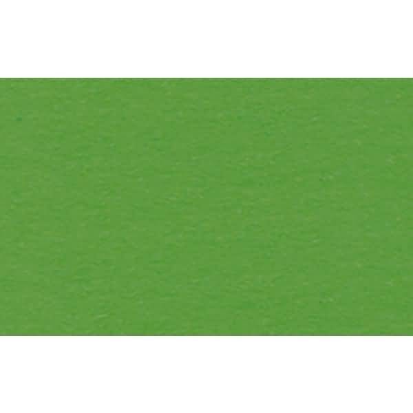 Fotokarton 300g/qm 70x100cm lindgrün