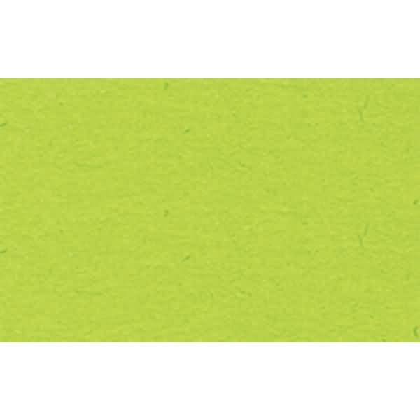 Fotokarton 300g/qm 70x100cm hellgrün