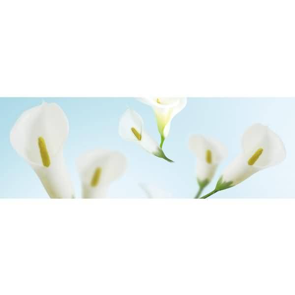 Transparentpapier 115g/qm A4 VE=5 Blatt Flora Calla