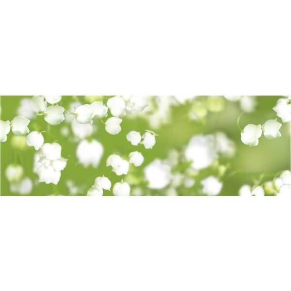 Transparentpapier 115g/qm A4 VE=25 Blatt Flora Maiglöckchen