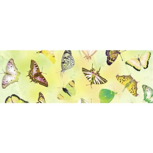 Transparentpapier 115g/qm A4 VE=5 Blatt Schmetterling