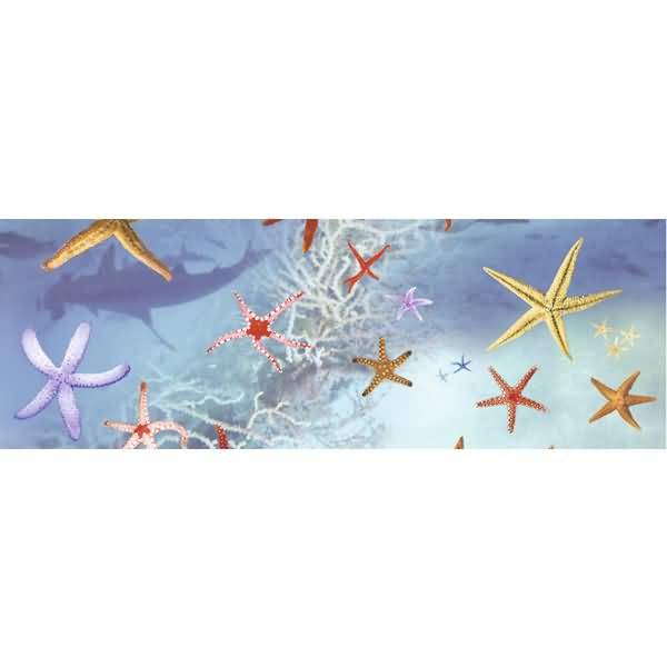 Transparentpapier 115g/qm A4 VE=5 Blatt Maritim Seesterne