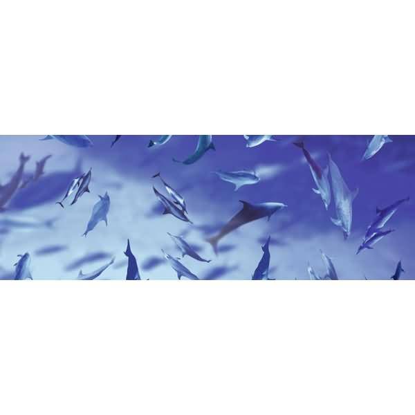 Transparentpapier 115g/qm A4 VE=5 Blatt Maritim Delphine