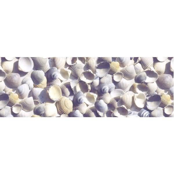 Transparentpapier 115g/qm A4 VE=25 Blatt Maritim Muscheln