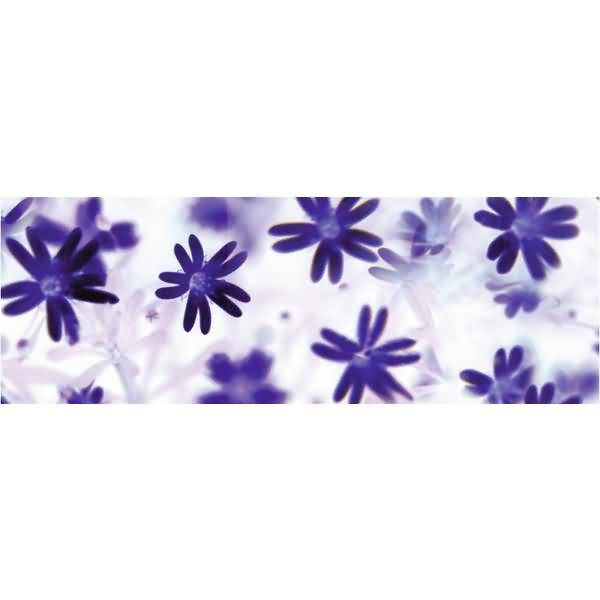 Transparentpapier Rolle 115g/qm 50x61cm Flora Blümchen