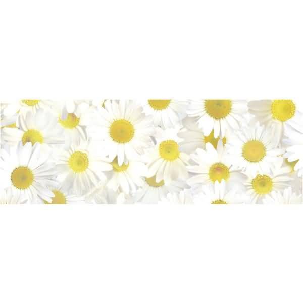 Transparentpapier Rolle 115g/qm 50x61cm Flora Margeriten