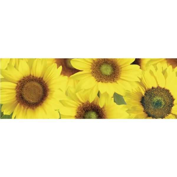 Transparentpapier Rolle 115g/qm 50x61cm Flora Sonnenblumen