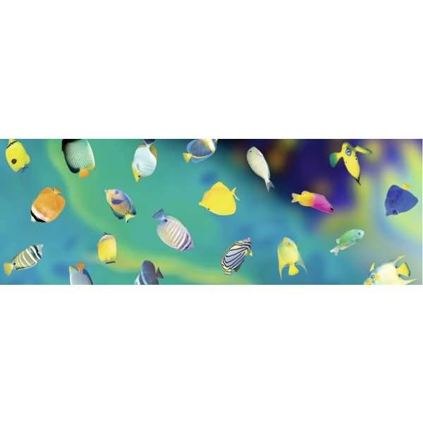 Transparentpapier Rolle 115g/qm 50x61cm Maritim Fische