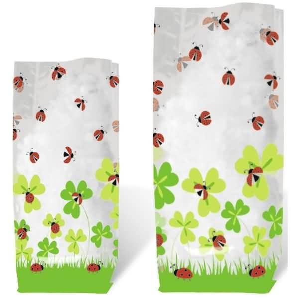 Geschenk-Bodenbeutel Marienkäfer 11,5x19cm