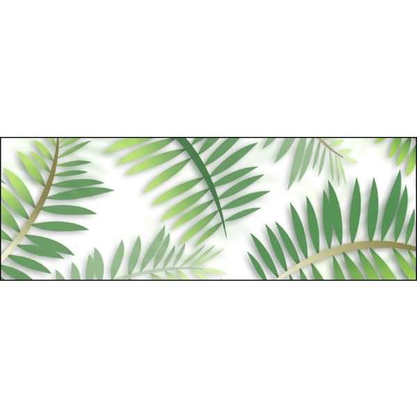 Transparentpapier Rolle 115g/qm 50x61cm Palmwedel