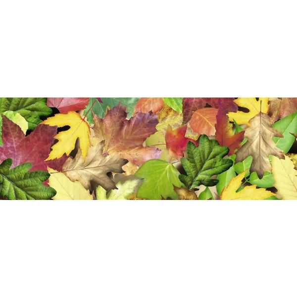 Transparentpapier 115g/qm A4 VE=5 Blatt Blätterwald