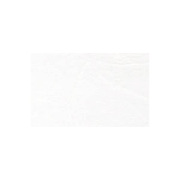 Digital Strohseide 25g/qm A4 VE=10 Blatt weiß