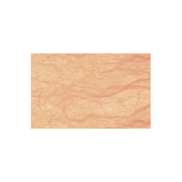 Digital Strohseide 25g/qm A4 VE=10 Blatt apricot