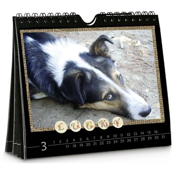 Wand- und Tischkalender 14x16,5cm schwarz