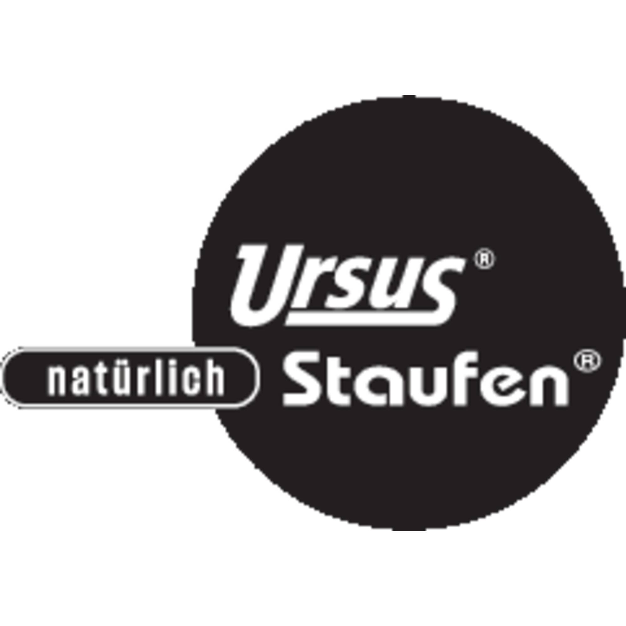 Spiralbuch A4 80Bl. kar. rot URSUS 608550000 Top-Office