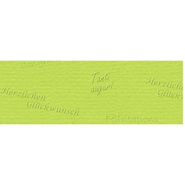 Prägekarton Elegance 220g/qm 23x32cm VE=5 Blatt Glückwünsche hellgrün