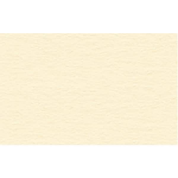 Tonkarton 220g/qm 50x70cm chamois