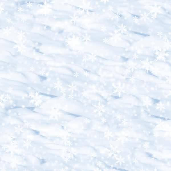 Fotokarton Scapbook Paper 300g/qm 12x12 Zoll VE=5 Bogen Schnee