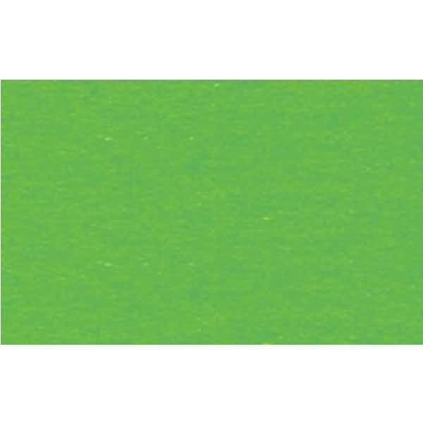 Schultüten Fotokarton 68cm VE=10 Stück grasgrün