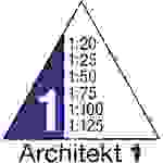 Dreikantmaßstab 30cm Architekt 1