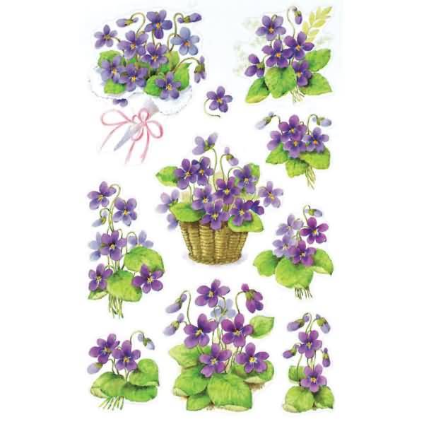 Sticker 76x120mm Papier 3 Bogen Motiv Veilchen
