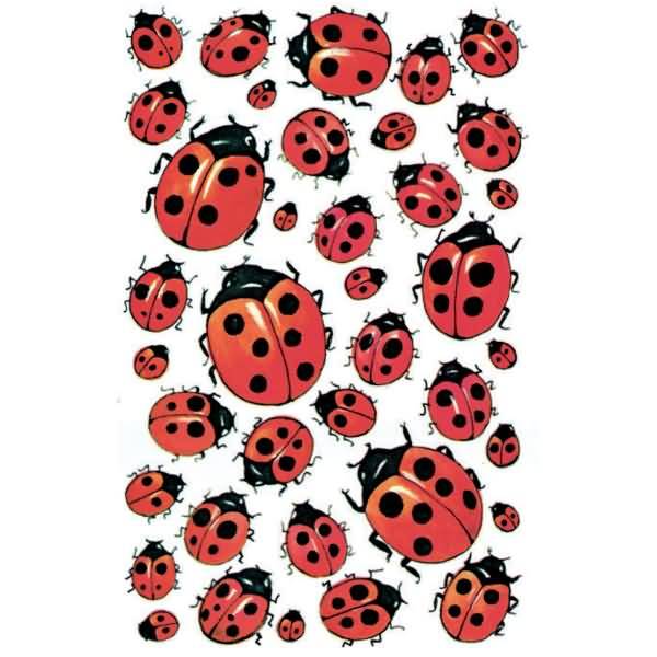 Sticker 76x120mm Papier 3 Bogen Motiv Marienkäfer