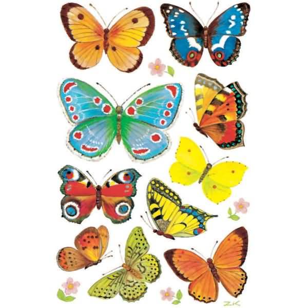 Sticker 76x120mm Papier 3 Bogen Motiv Schmetterlinge