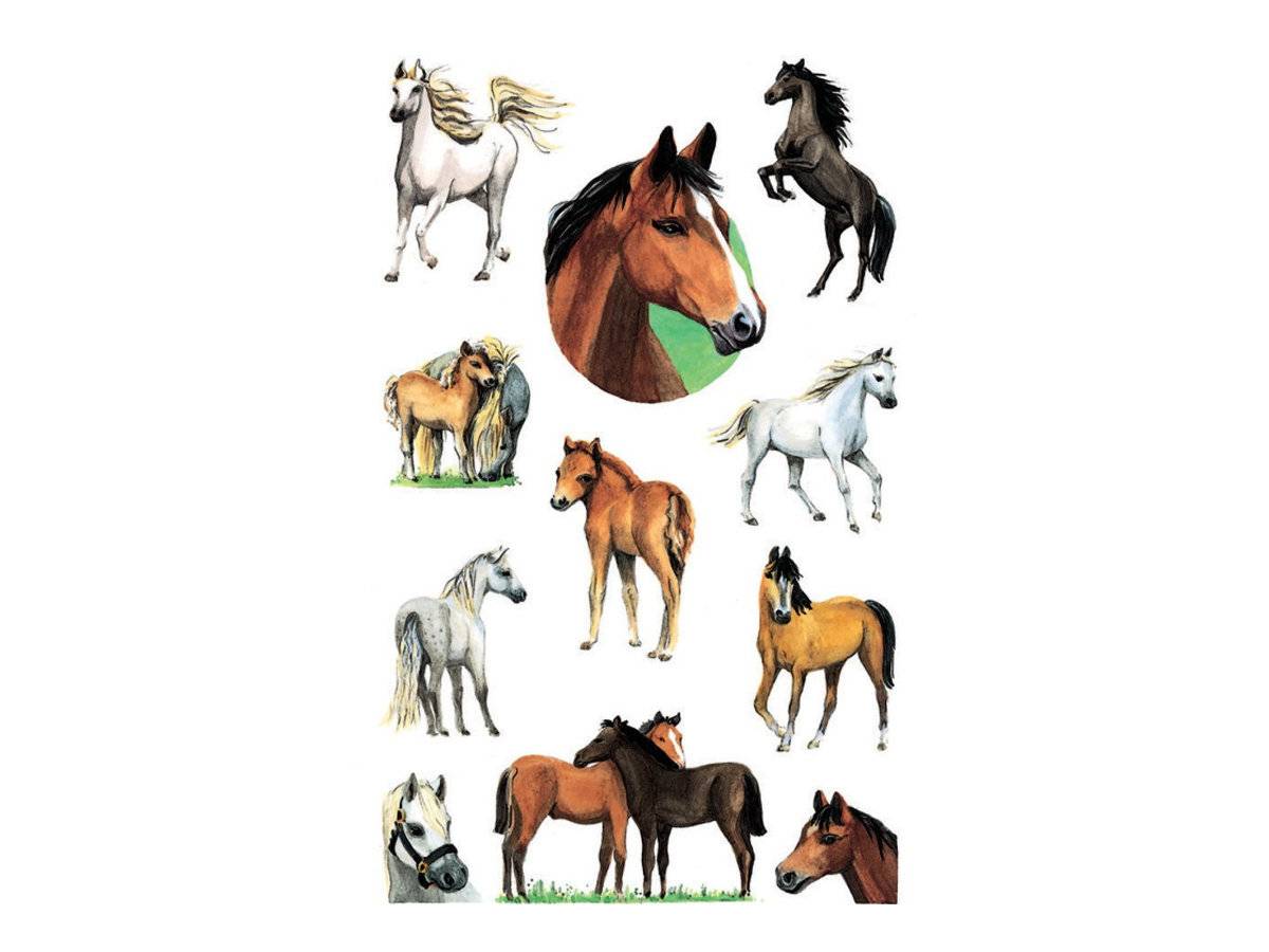 Avery Zweckform Z-Design Kids - Dekorationskleber