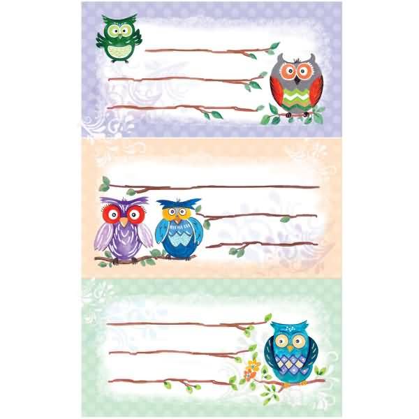 Buchetikett Papier 76x120mm 2 Bogen Motiv Eule