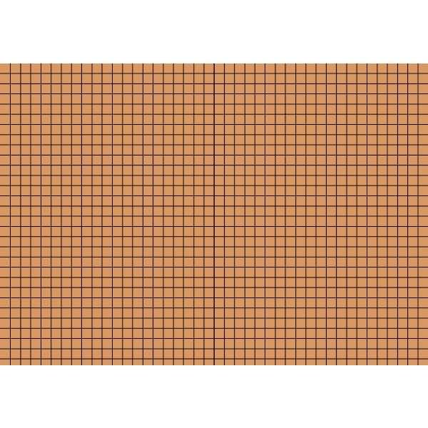 Karteikarten A5 kariert orange VE=100 Stück