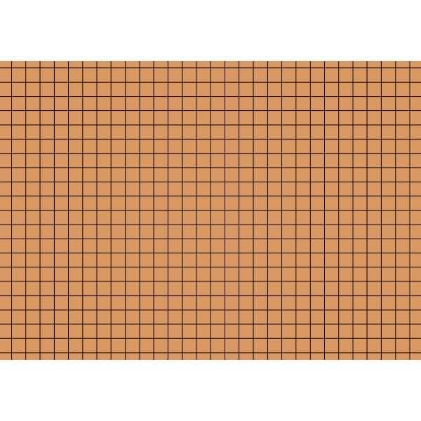 Karteikarten A6 kariert orange VE=100 Stück